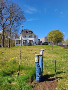 Zwei Beine mit gummistiefeln gucken kopfüber aus dem Rasen - ein Kunstprojekt