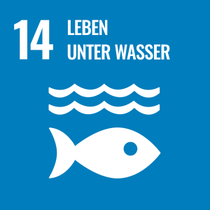 Grafik Leben unter Wasser zum 14. der 17 nachhaltigen Ziele der Vereinten Nationen
