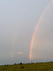 Ein Regenbogen über Kenianischer Natur